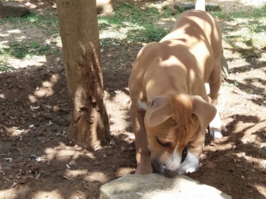 Con 4 meses recién cumplidos